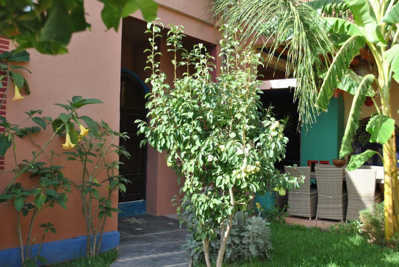 Auberge Kasbah Darla 泰赫瑙特 外观 照片