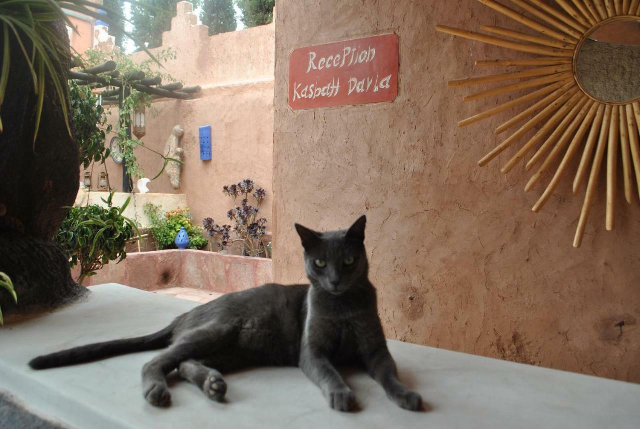Auberge Kasbah Darla 泰赫瑙特 外观 照片