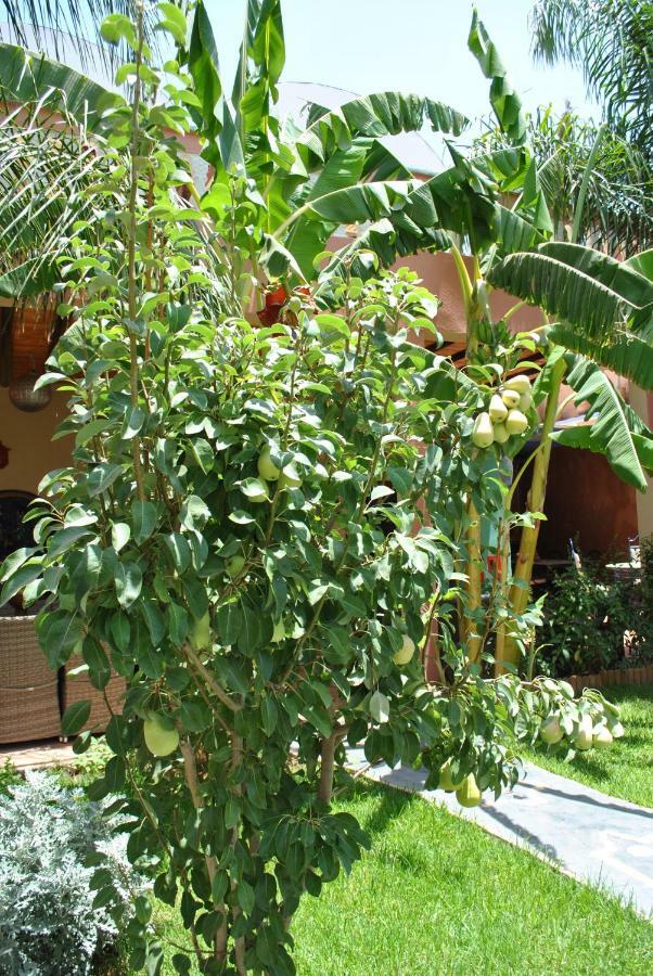 Auberge Kasbah Darla 泰赫瑙特 外观 照片